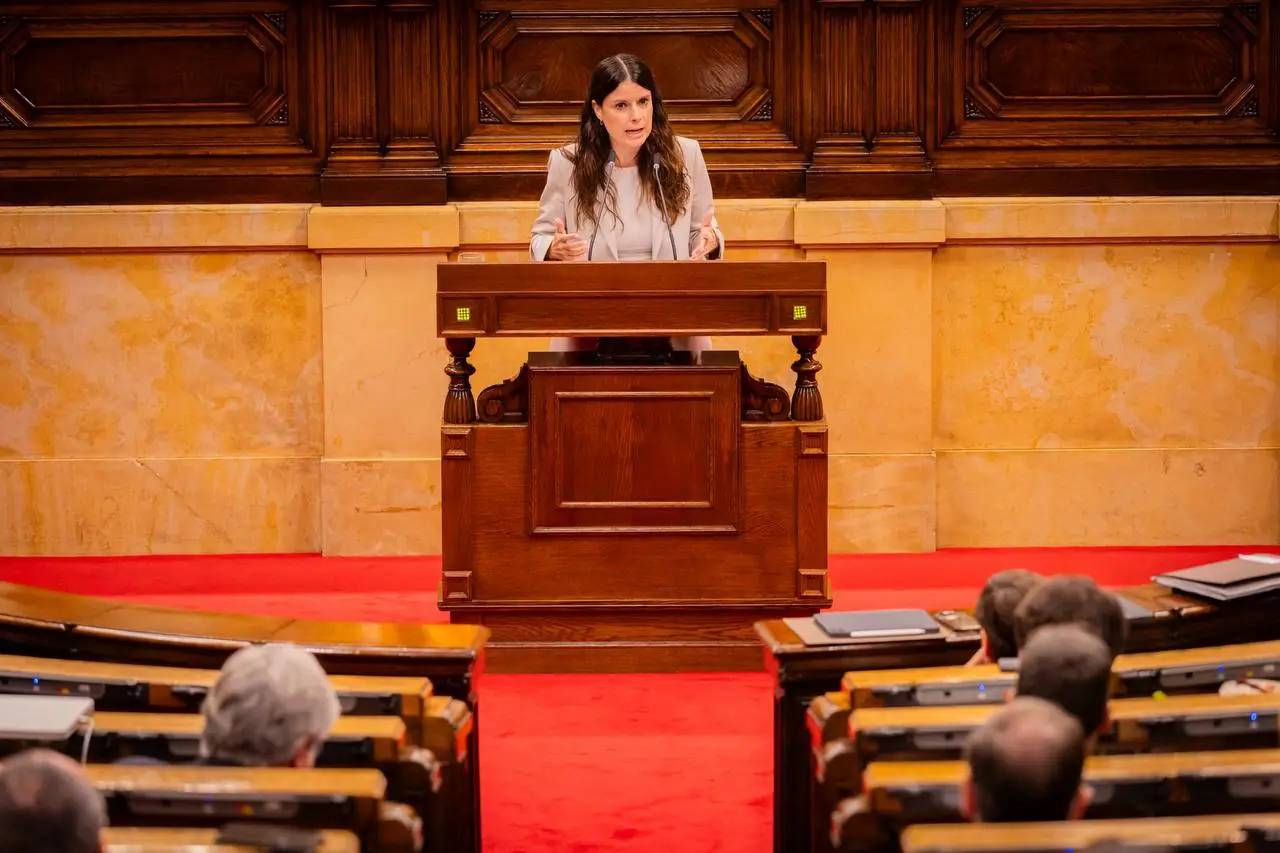 La presidenta del grup parlamentari, Mònica Sales, en una intervenció al Ple